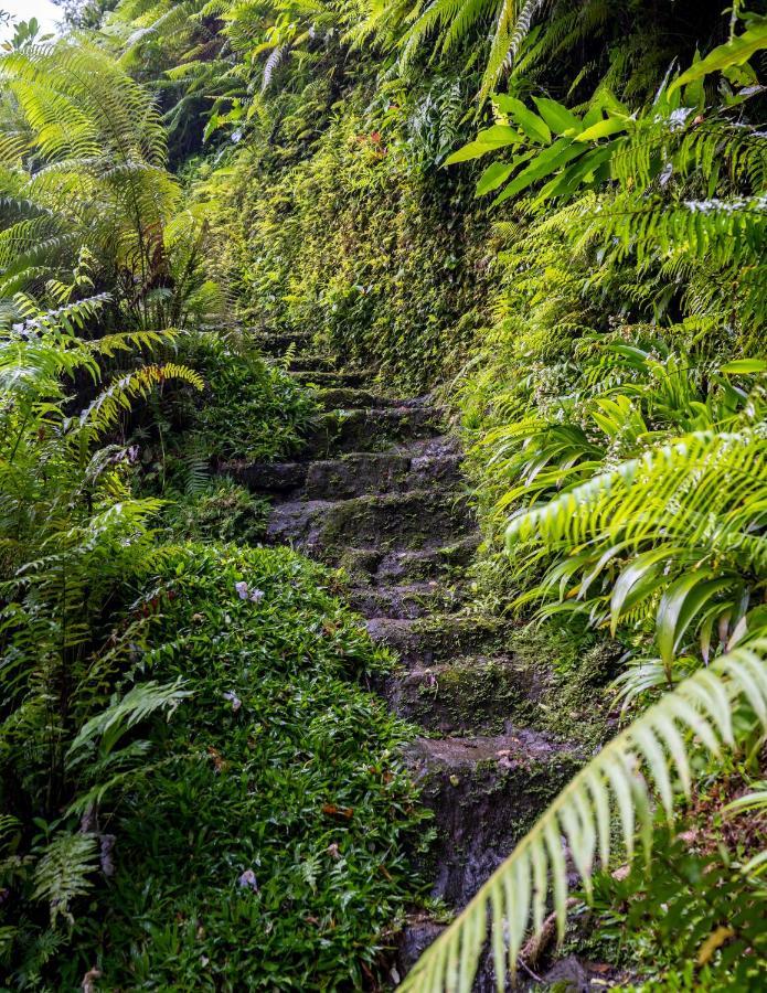 Pousada Canyon